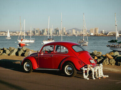 Classic 1965 Beetle