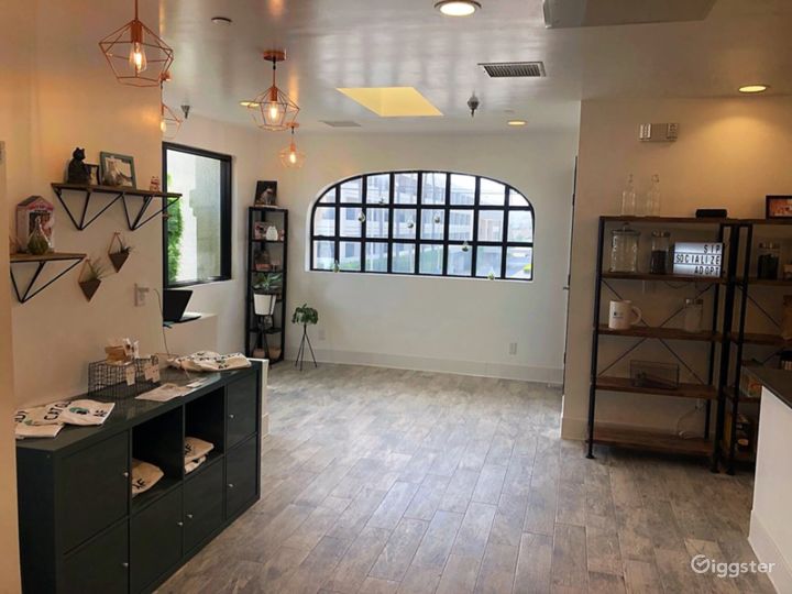 Cat Cafe Lounge and Patio Rent this location on Giggster