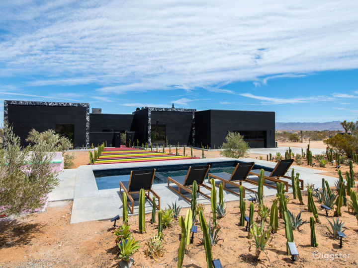 Joshua Tree Desert Modern, Sleek, Colorful 3 Acre  Photo 4