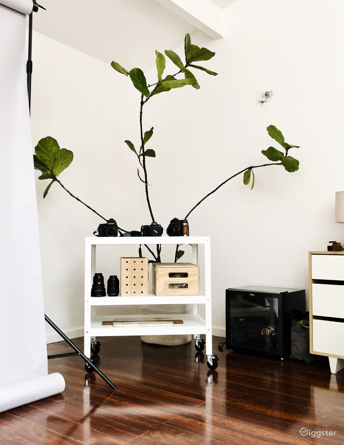 North Berkeley Studio Rent this location on Giggster