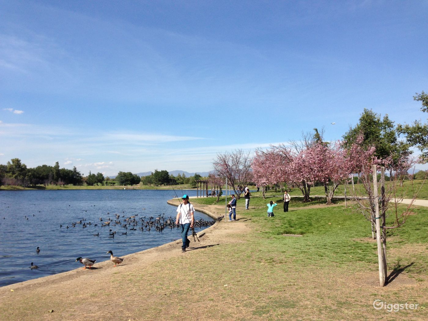 Lake Balboa Park Photo 4