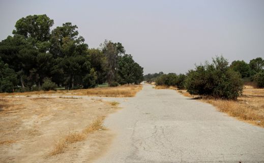 Lake Balboa Park Photo 5