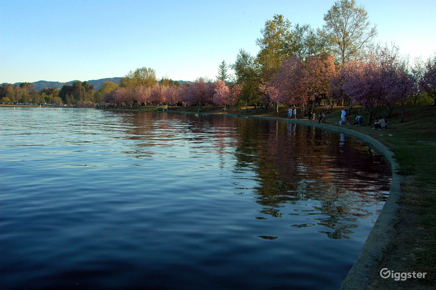 Anthony C. Beilenson Park Photo 1