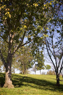 Anthony C. Beilenson Park Photo 2