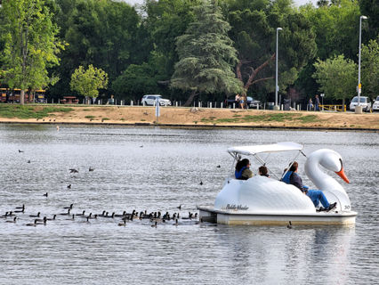 Anthony C. Beilenson Park Photo 5