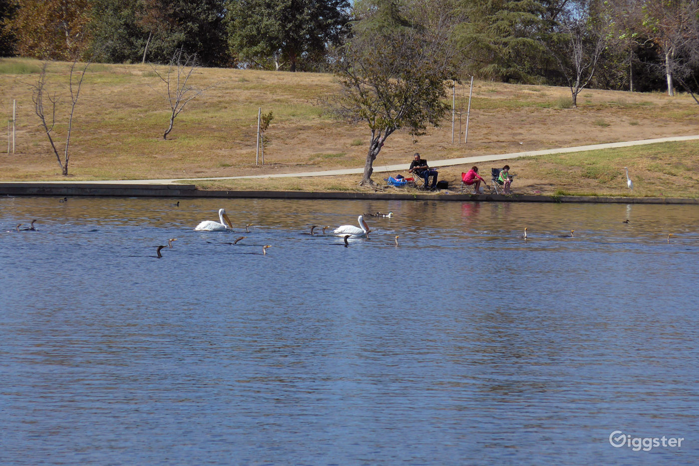 Anthony C. Beilenson Park Photo 4