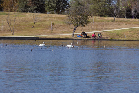 Anthony C. Beilenson Park Photo 4