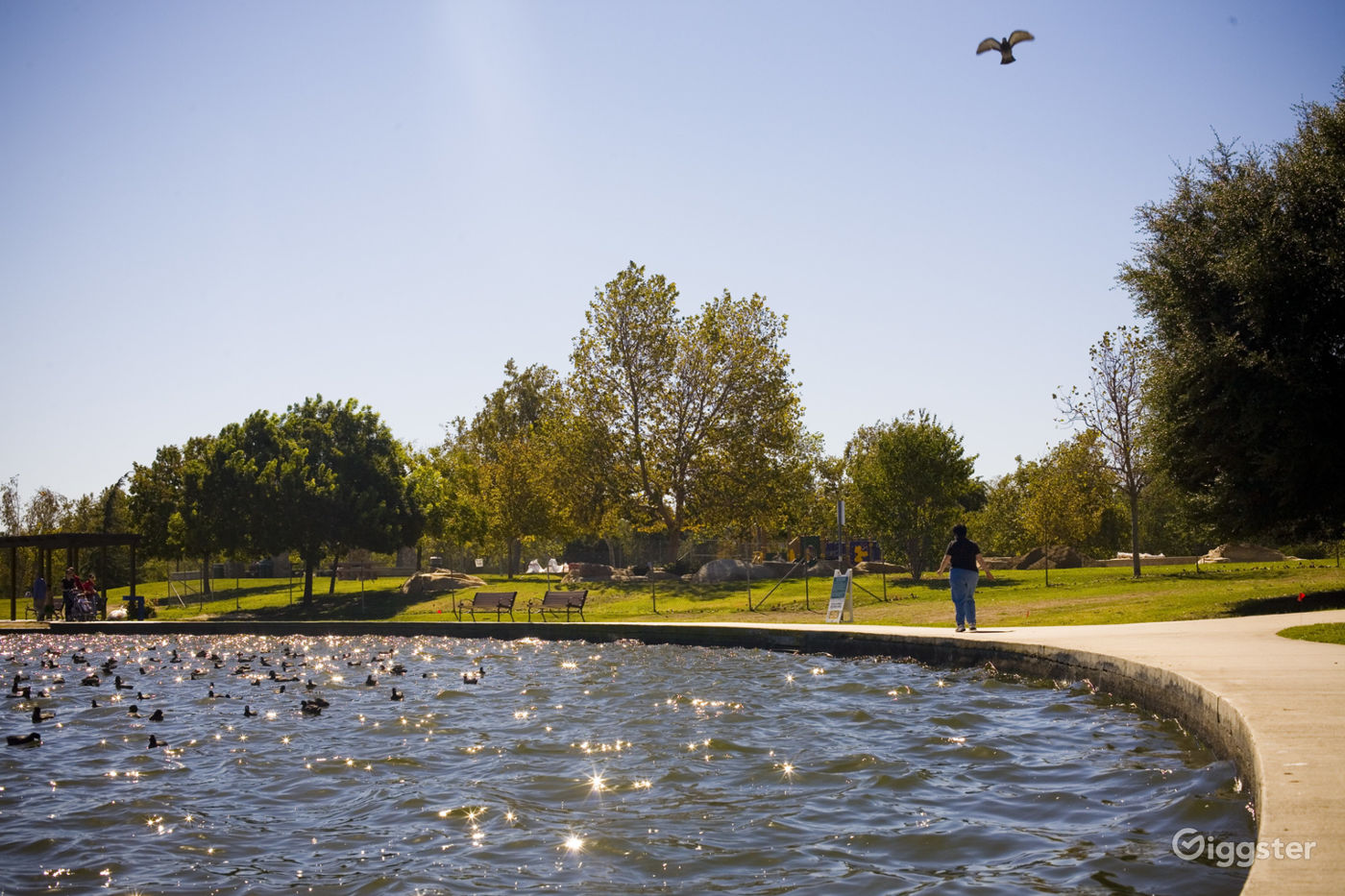 Anthony C. Beilenson Park Photo 3