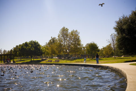 Anthony C. Beilenson Park Photo 3