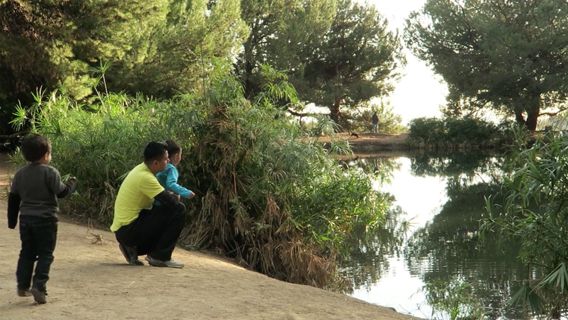 Ernest E. Debs Regional Park Photo 3