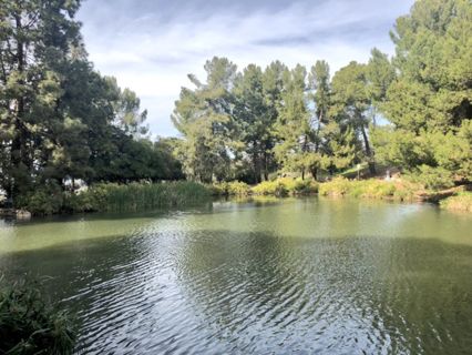 Ernest E. Debs Regional Park Photo 4