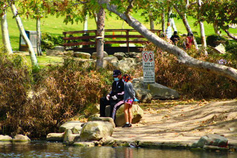 Kenneth Hahn Lower Park Photo 3