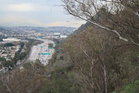 Elysian Park Photo 4