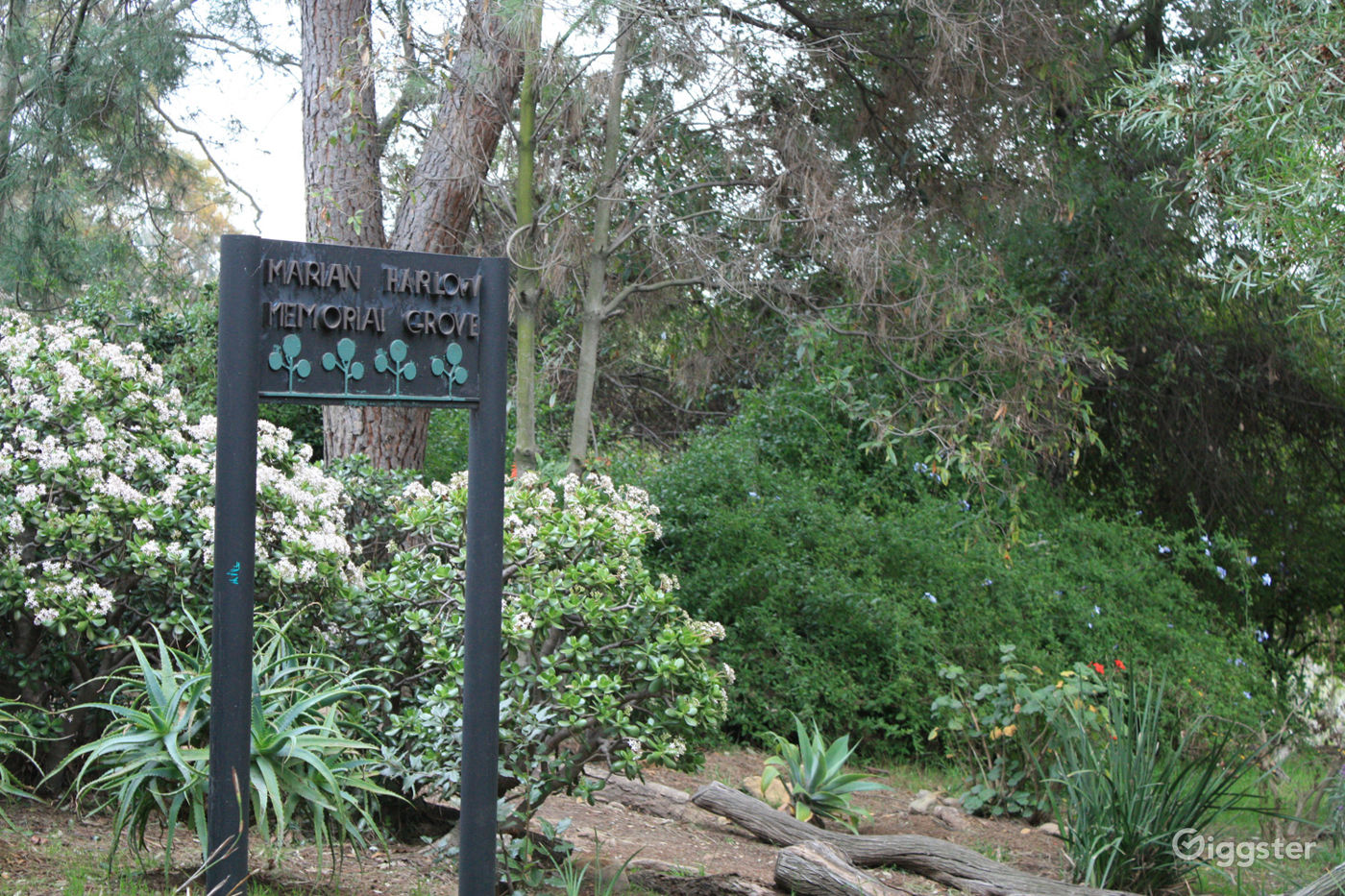 Elysian Park Photo 5