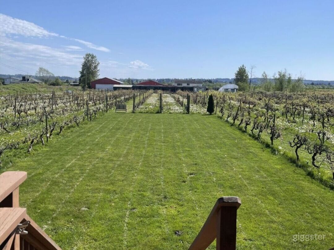WINERY STYLE OUTDOOR VINYARD and indoor events Photo 1