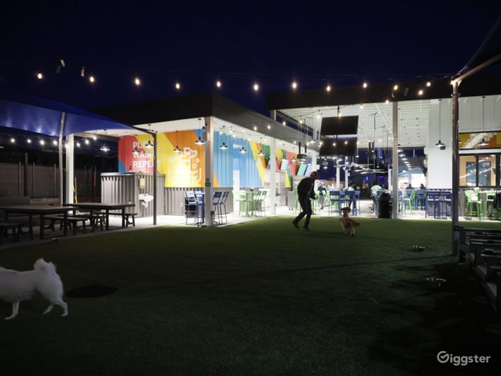 Fun & Airy Outdoor Off Leash Dog Park w/ Cafe & Bar Rent this