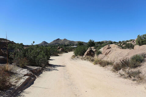 Vasquez Rocks Photo 154