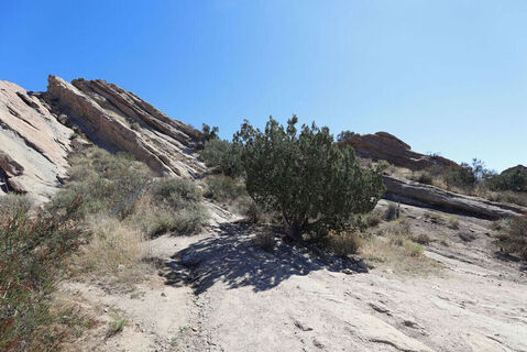 Vasquez Rocks Photo 45