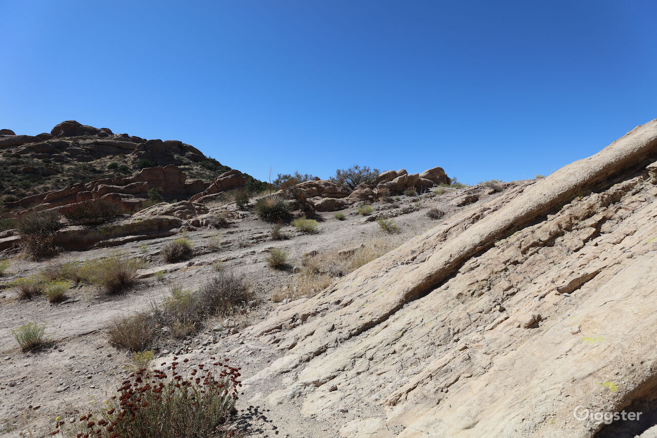 Vasquez Rocks Photo 49