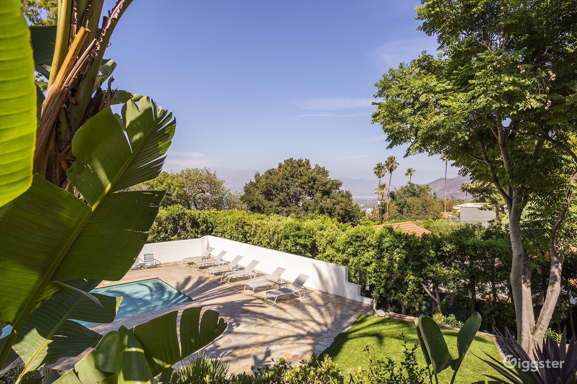 The Ivory Palm Rent this location on Giggster