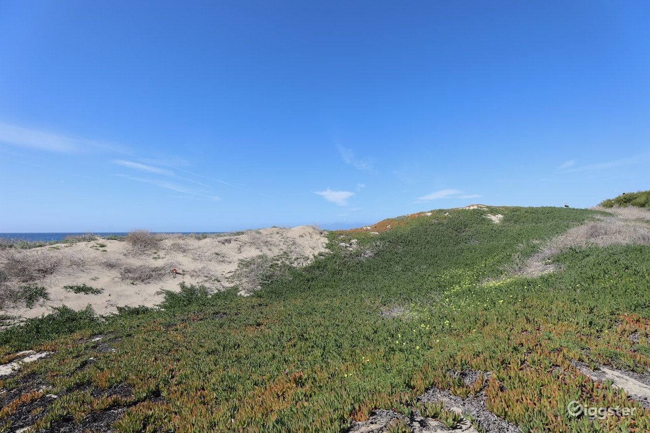 Dockweiler Beach | Lifeguard Towers 59-60 Photo 89
