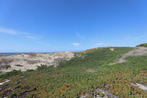 Dockweiler Beach | Lifeguard Towers 59-60 Photo 89