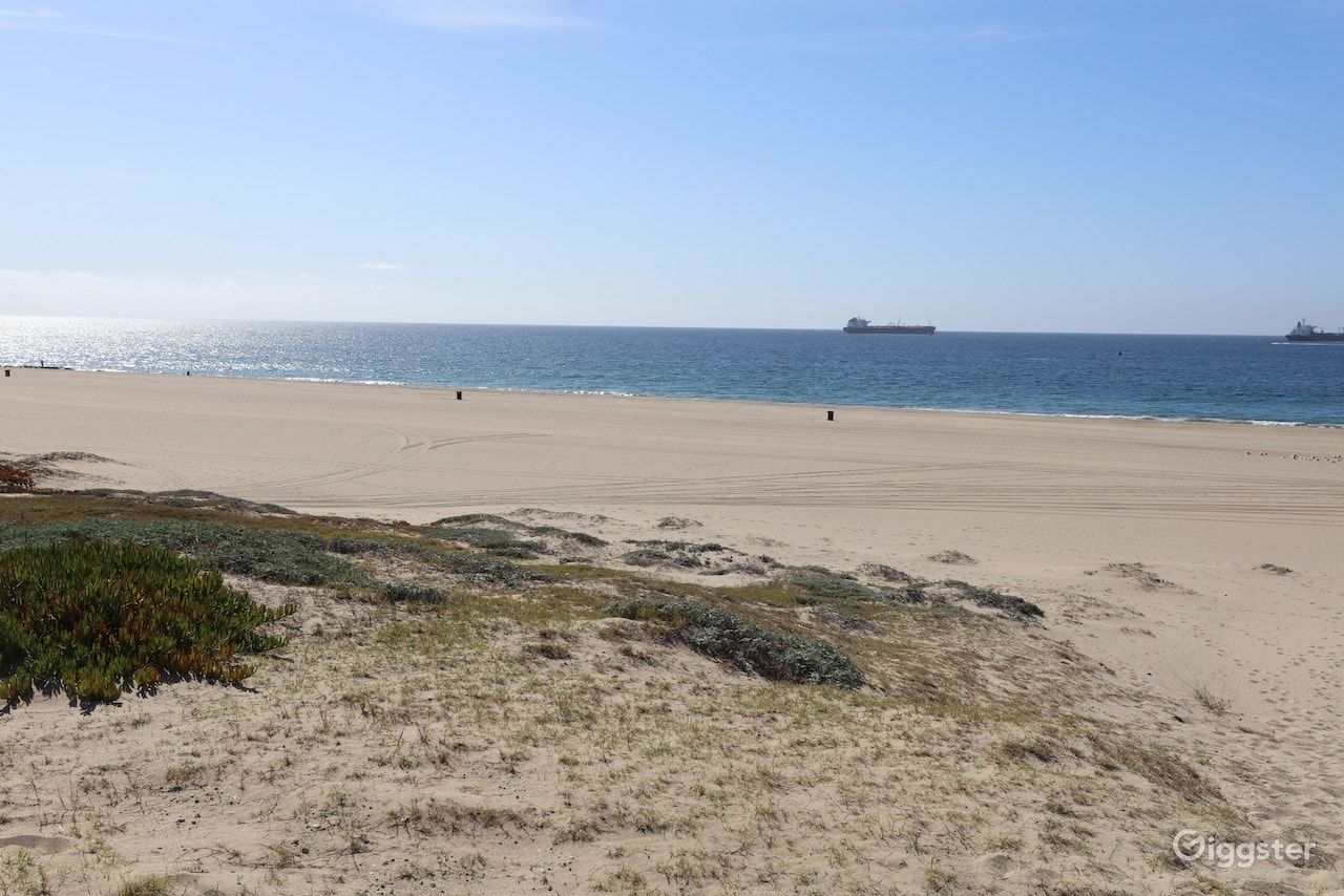 Dockweiler Beach | Lifeguard Towers 59-60 Photo 110
