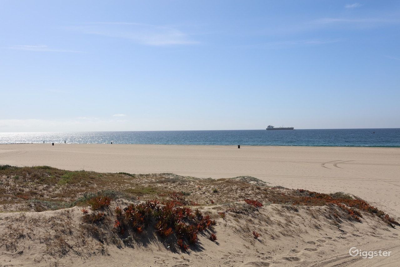 Dockweiler Beach | Lifeguard Towers 59-60 Photo 103