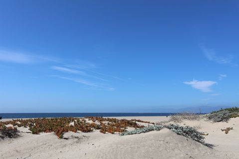 Dockweiler Beach | Lifeguard Towers 59-60 Photo 74