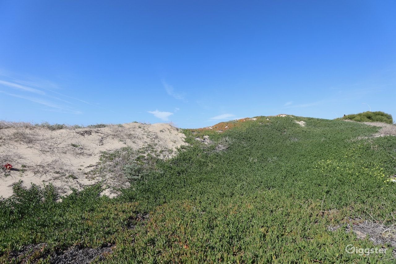 Dockweiler Beach | Lifeguard Towers 59-60 Photo 92