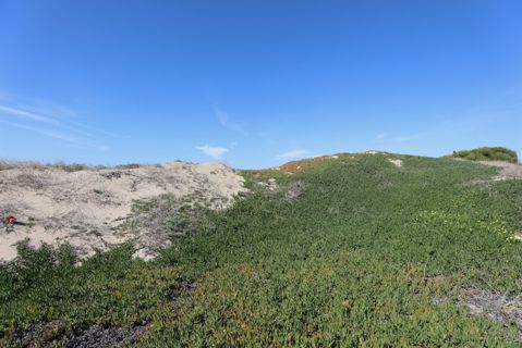 Dockweiler Beach | Lifeguard Towers 59-60 Photo 92