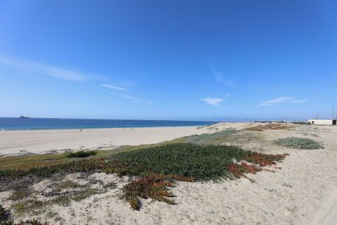 Dockweiler Beach | Lifeguard Towers 59-60 Photo 109