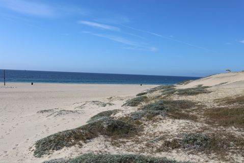 Dockweiler Beach | Lifeguard Towers 59-60 Photo 117