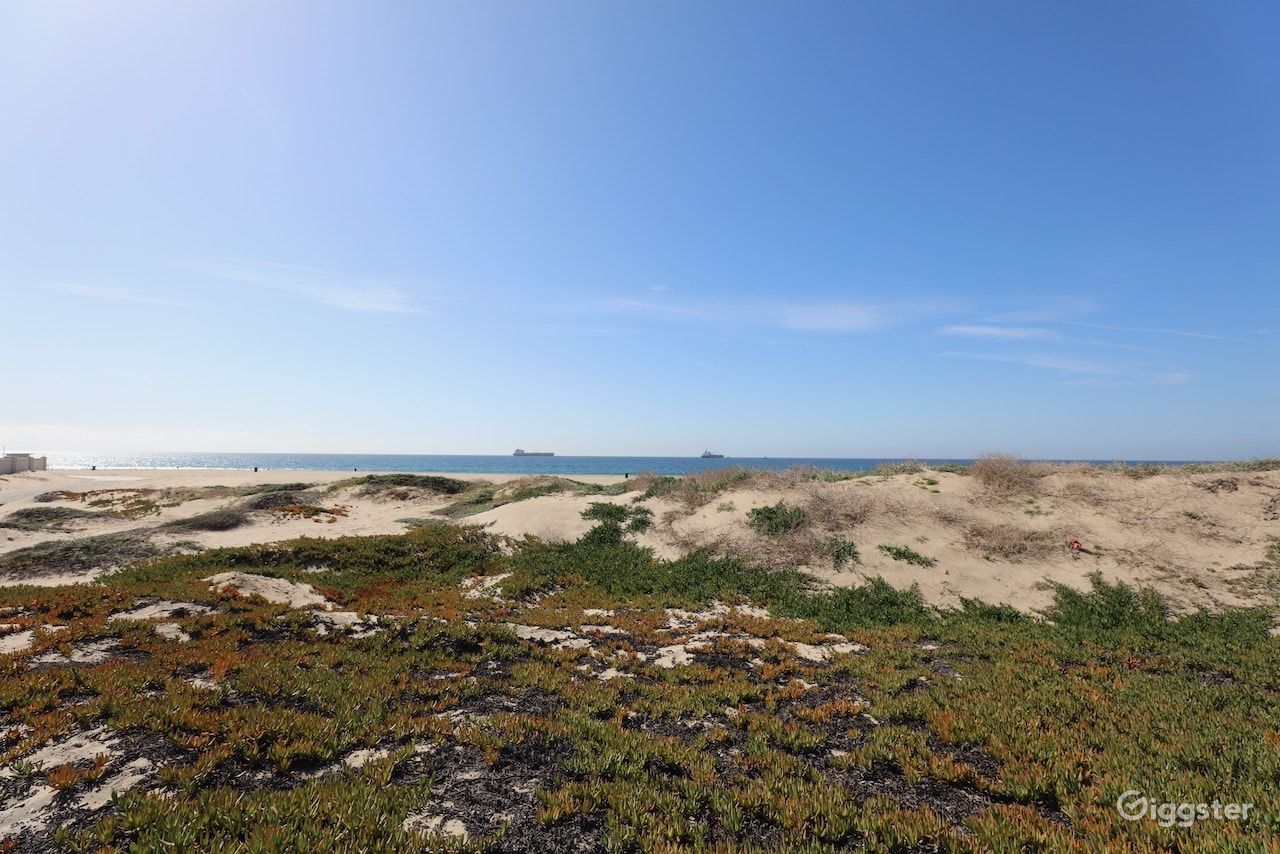 Dockweiler Beach | Lifeguard Towers 59-60 Photo 88