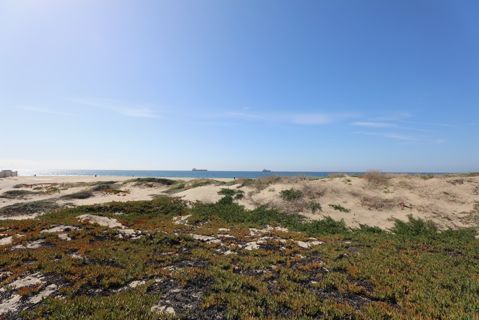 Dockweiler Beach | Lifeguard Towers 59-60 Photo 88