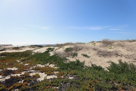 Dockweiler Beach | Lifeguard Towers 59-60 Photo 93