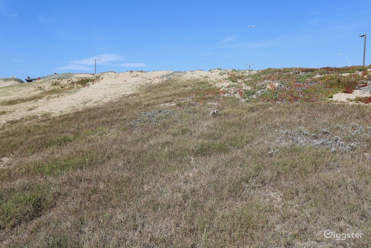 Dockweiler Beach | Lifeguard Towers 59-60 Photo 118