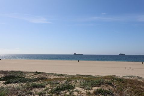 Dockweiler Beach | Lifeguard Towers 59-60 Photo 100