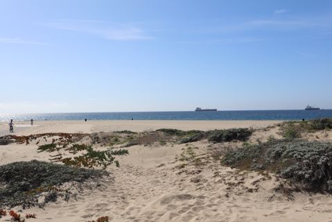 Dockweiler Beach | Lifeguard Towers 59-60 Photo 85