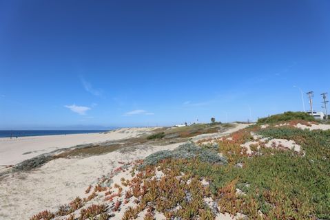 Dockweiler Beach | Lifeguard Towers 59-60 Photo 98