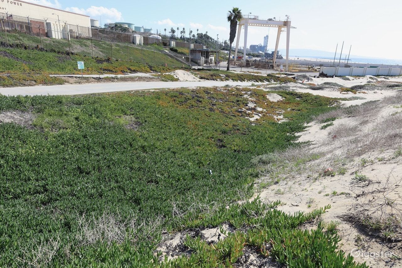 Dockweiler Beach | Lifeguard Towers 59-60 Photo 101