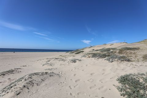 Dockweiler Beach | Lifeguard Towers 59-60 Photo 119