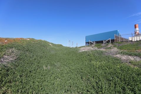 Dockweiler Beach | Lifeguard Towers 59-60 Photo 95