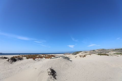 Dockweiler Beach | Lifeguard Towers 59-60 Photo 73