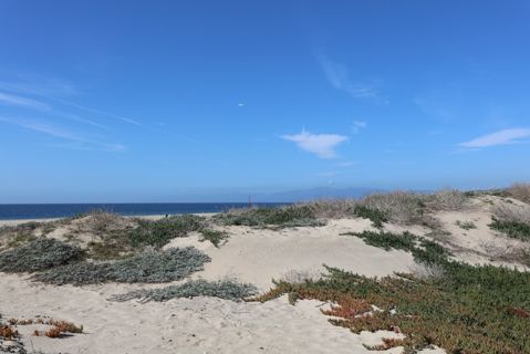 Dockweiler Beach | Lifeguard Towers 59-60 Photo 86