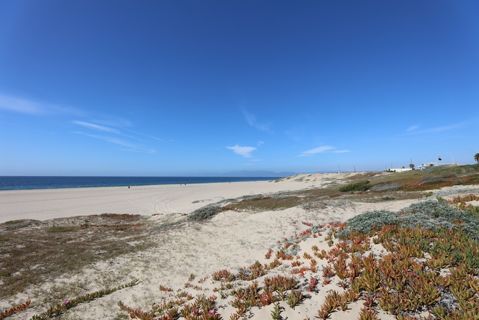Dockweiler Beach | Lifeguard Towers 59-60 Photo 97