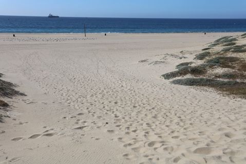 Dockweiler Beach | Lifeguard Towers 59-60 Photo 114