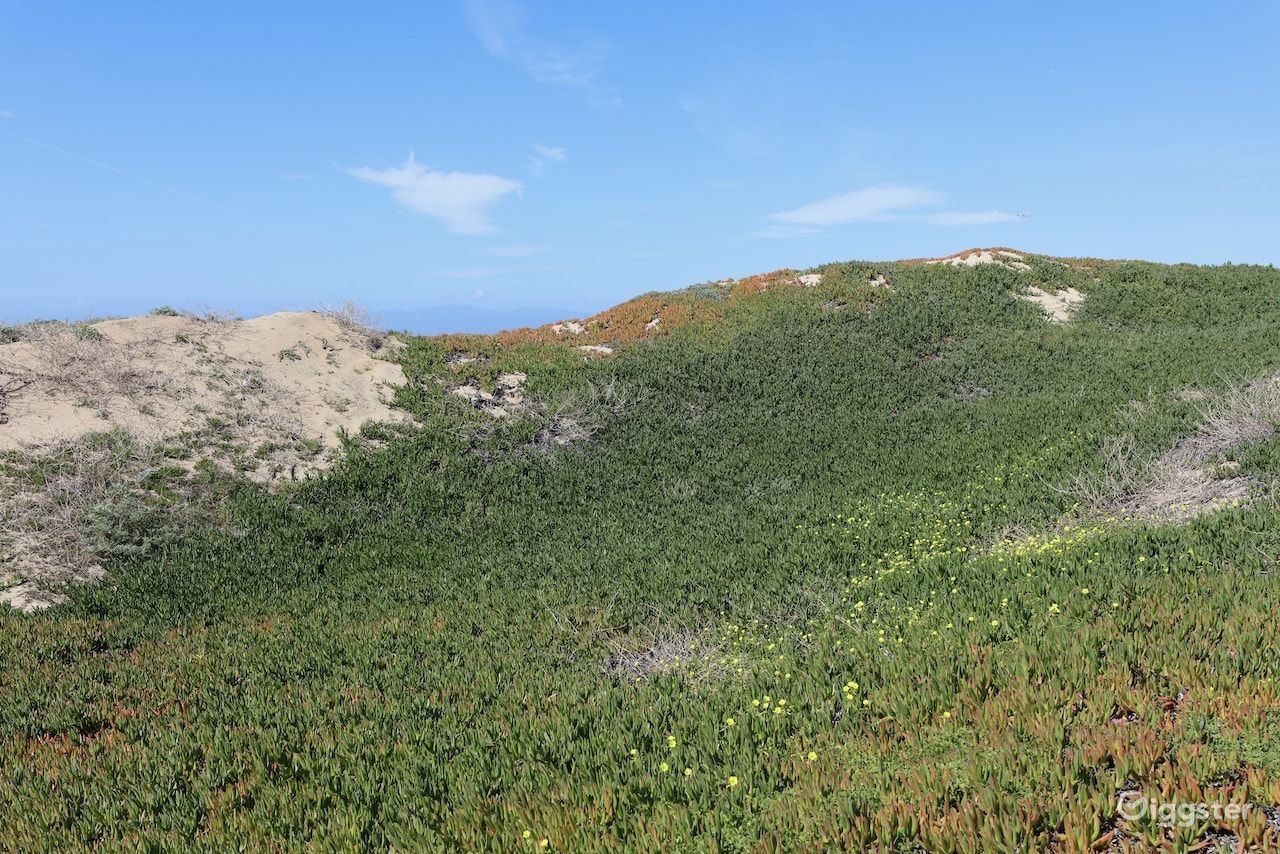 Dockweiler Beach | Lifeguard Towers 59-60 Photo 90