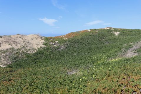 Dockweiler Beach | Lifeguard Towers 59-60 Photo 90
