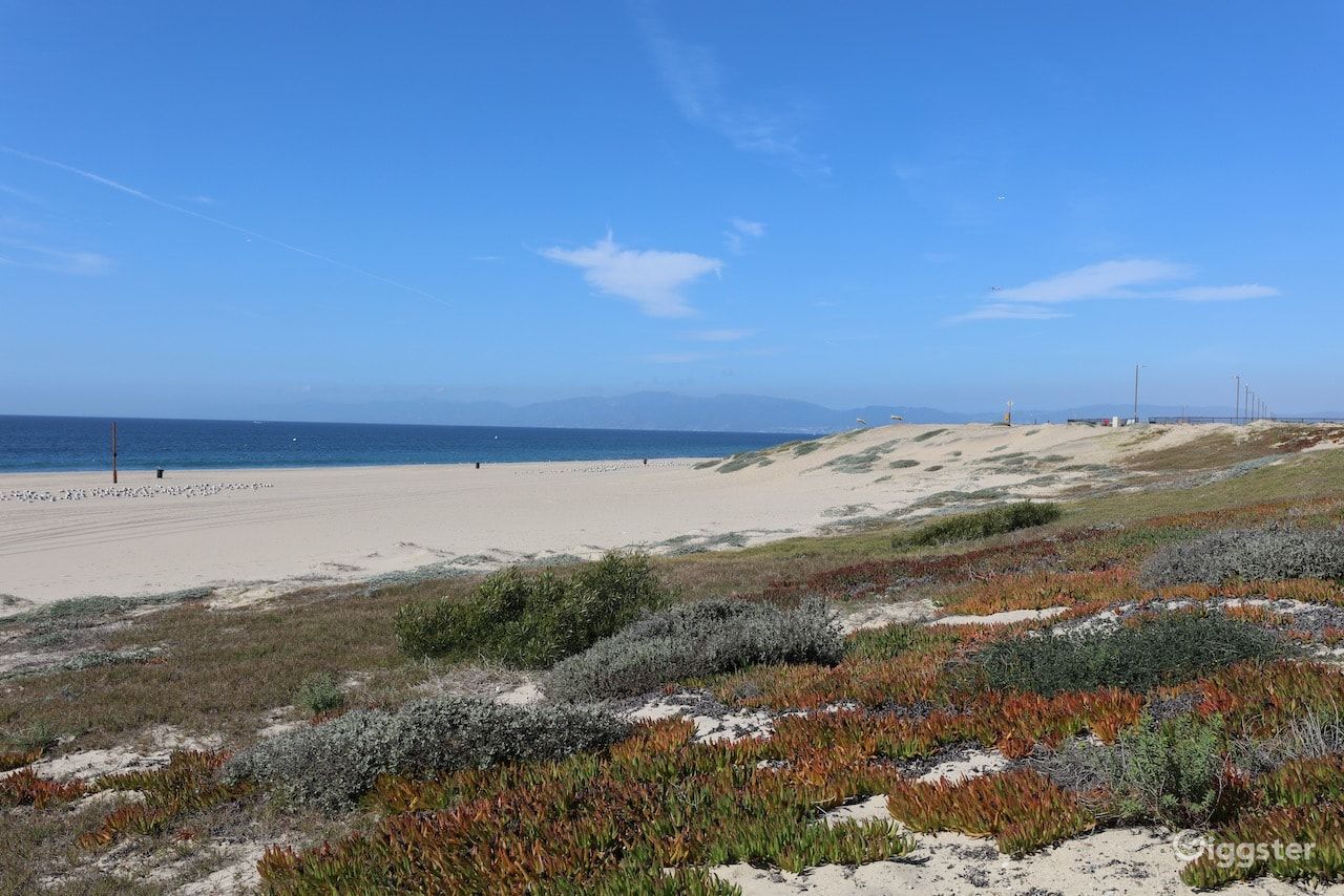 Dockweiler Beach | Lifeguard Towers 59-60 Photo 106